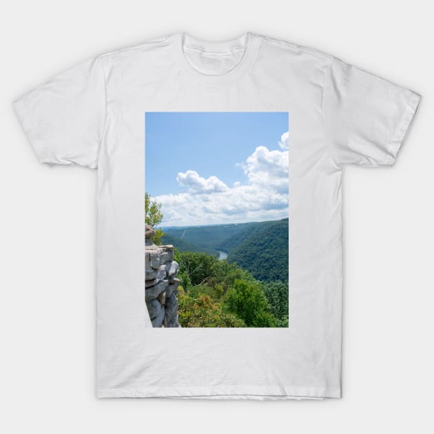 Coopers Rock State Park T-Shirt by searchlight